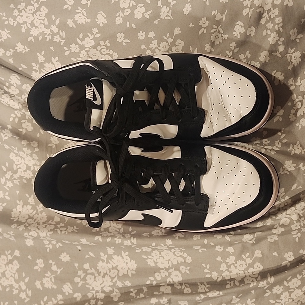 Nike Panda Dunks W9